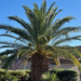Palm & Pineapple Roofing and Exteriors