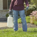 How to Achieve a Lush, Weed-Free Lawn Without Breaking a Sweat