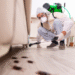 How EvoFoam Pest Control Targets Infestations at the Source