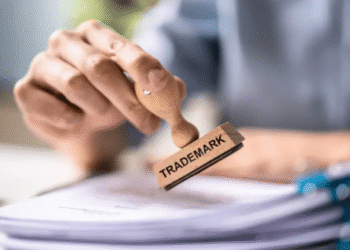 How to Establish a Company: A Practical Guide for Entrepreneurs
