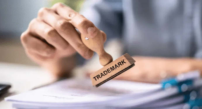 How to Establish a Company: A Practical Guide for Entrepreneurs